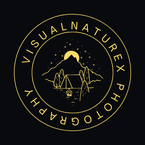 Logo VisualNatureX